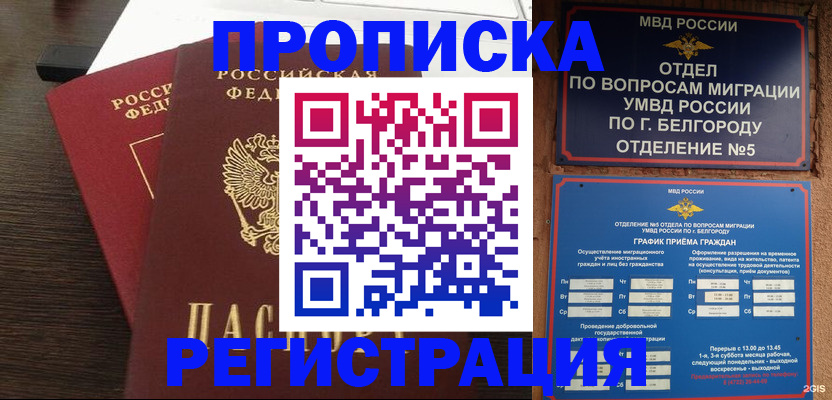 прописка для школы в Дмитрове